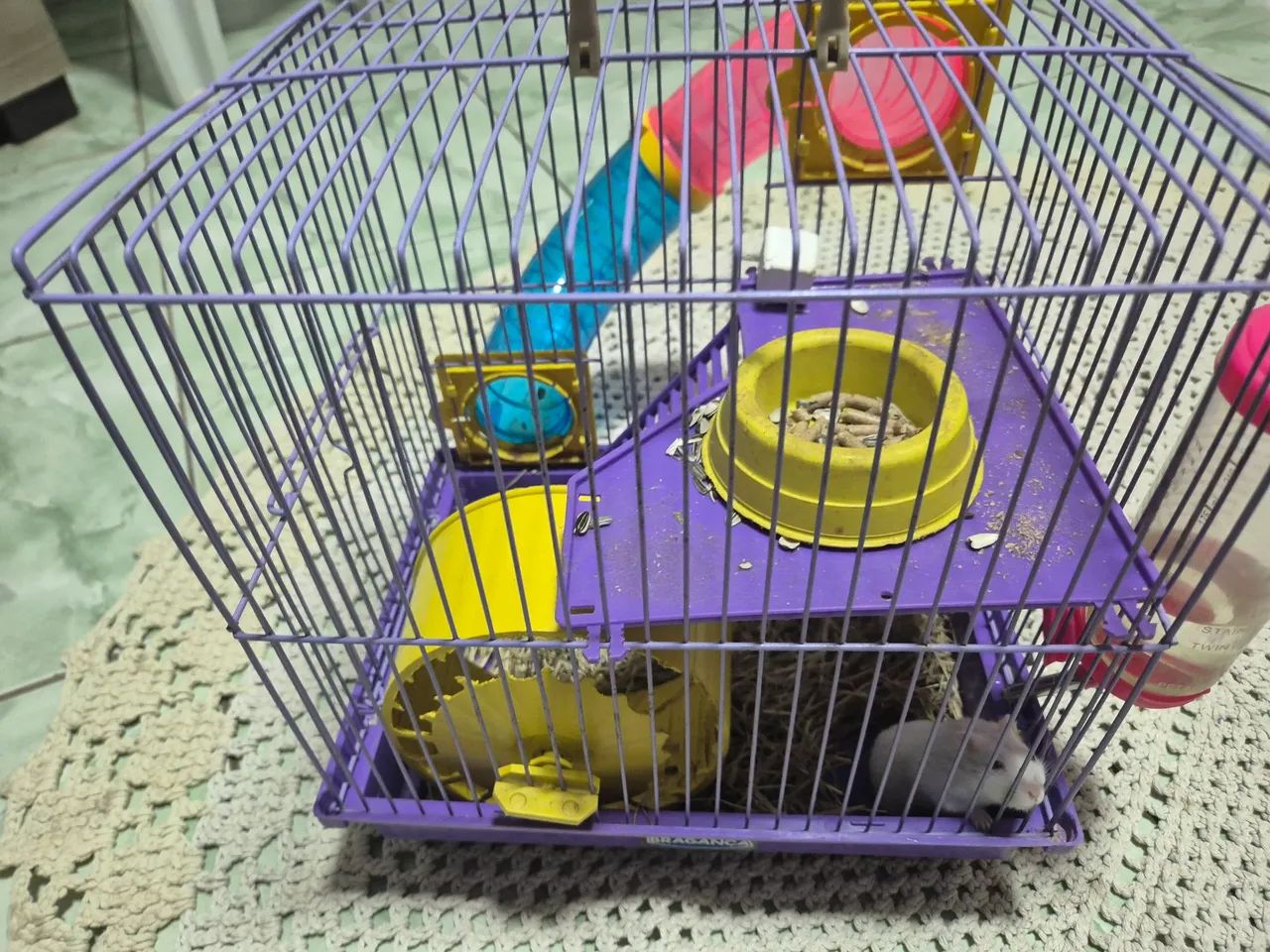 Hamster com terrario  - Foto 4