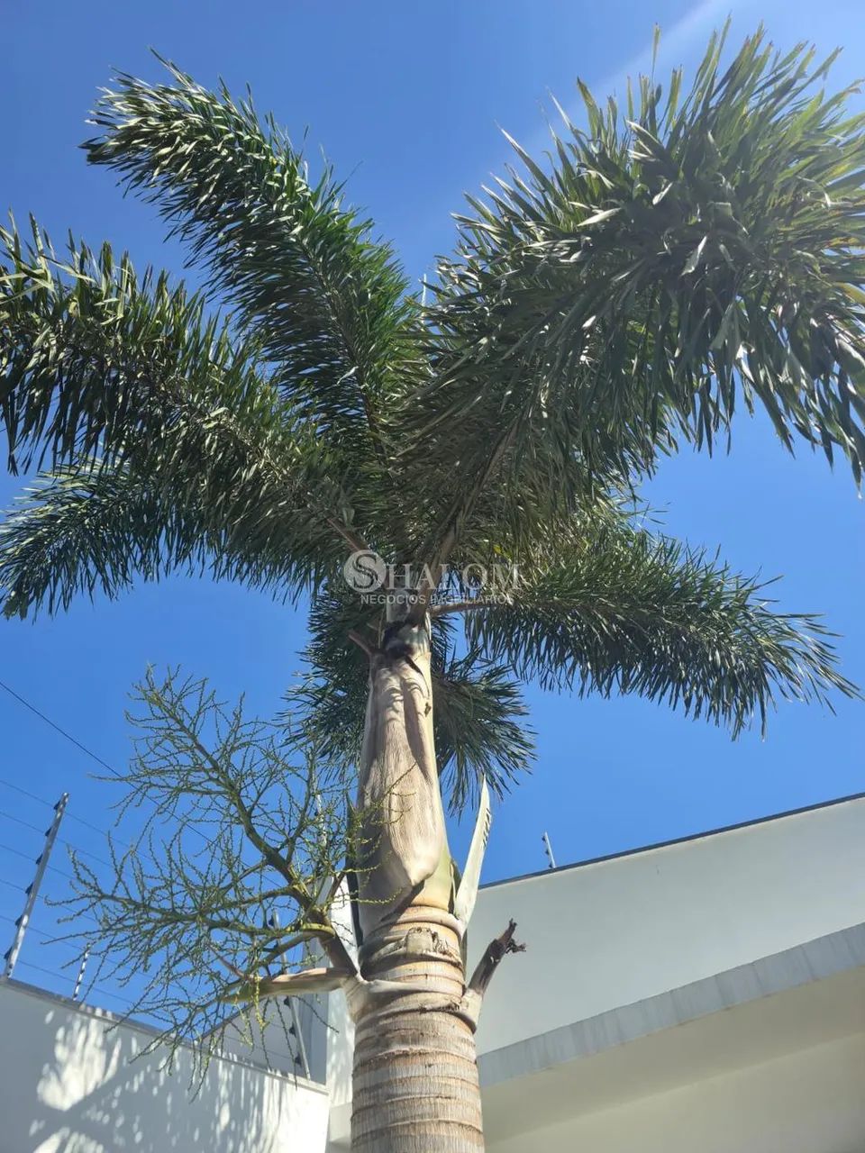 Casa à venda em Maringá, Jardim Itália, com 3 quartos, com 105 m² - Foto 2