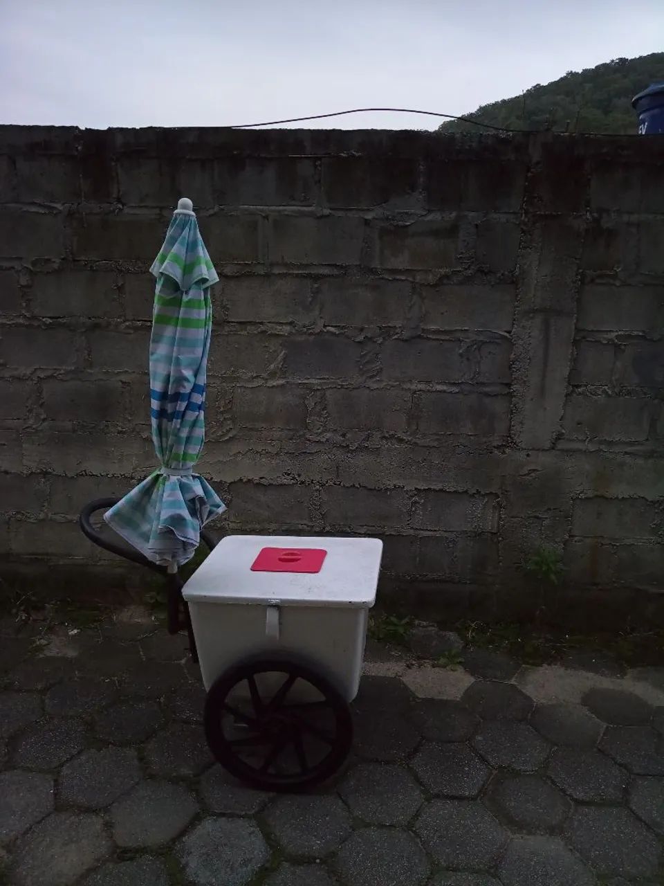 Carrinho de picolé  - Foto 2