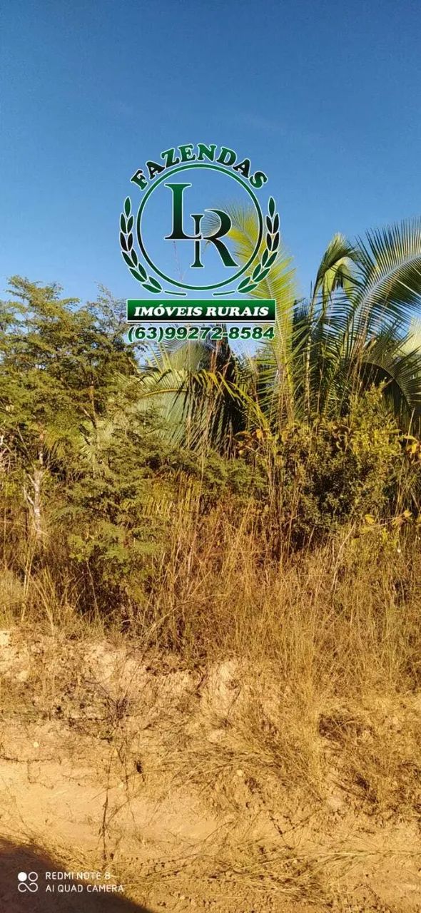 FAZENDA DE 4.400 HECTARES PARA LAVOURA TOCANTINS  - Foto 4