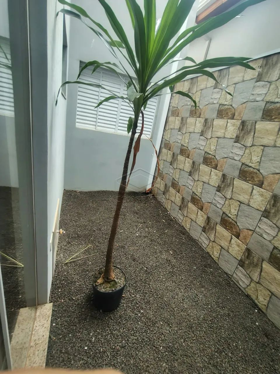 Otima Casa bem localizada - Foto 2