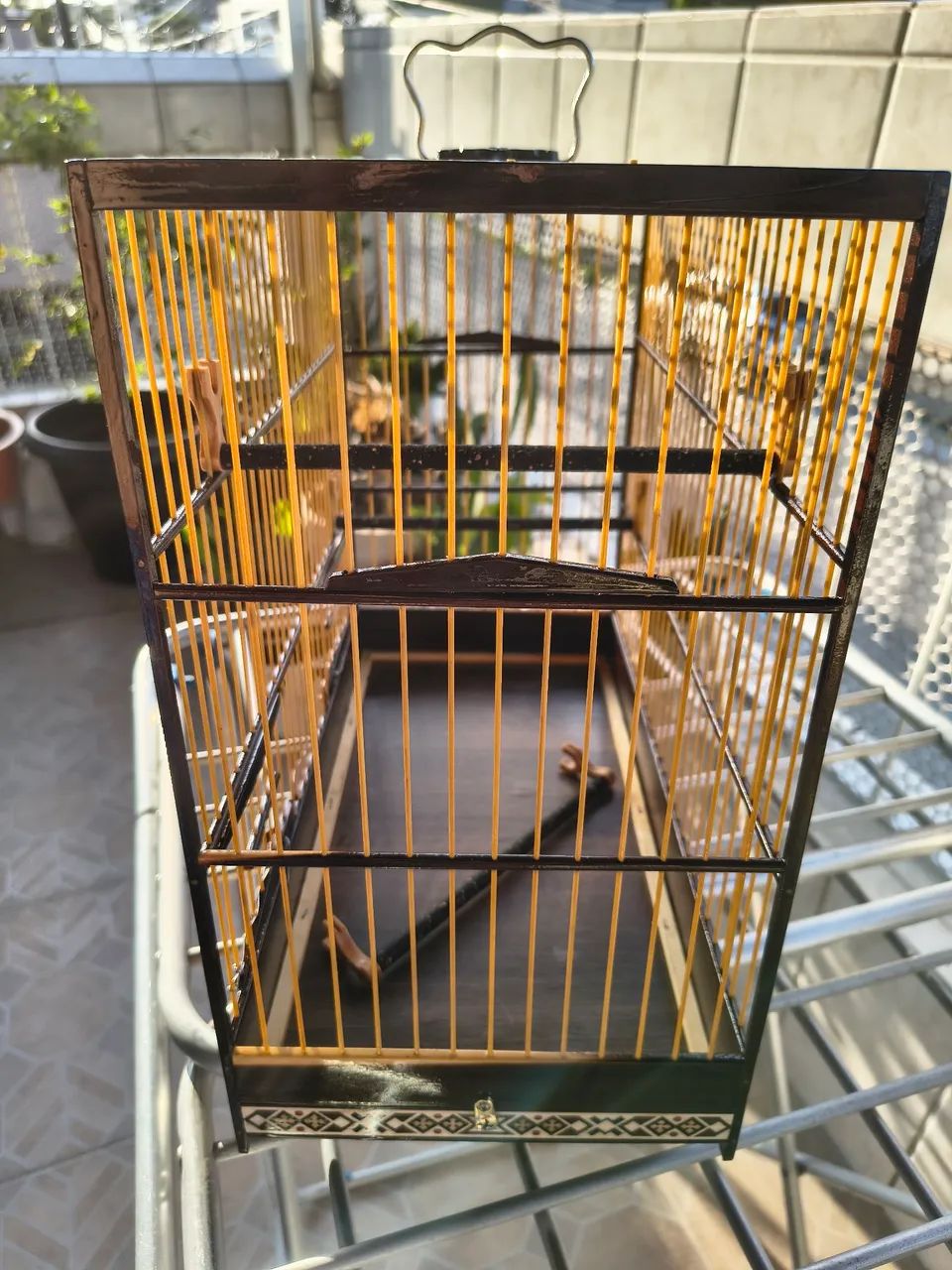 Gaiola com machetaria passeio! - Foto 4