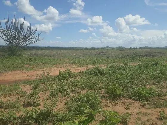 Excelente Fazenda com 570 hectares entre Tangara e serra caiada - Foto 3