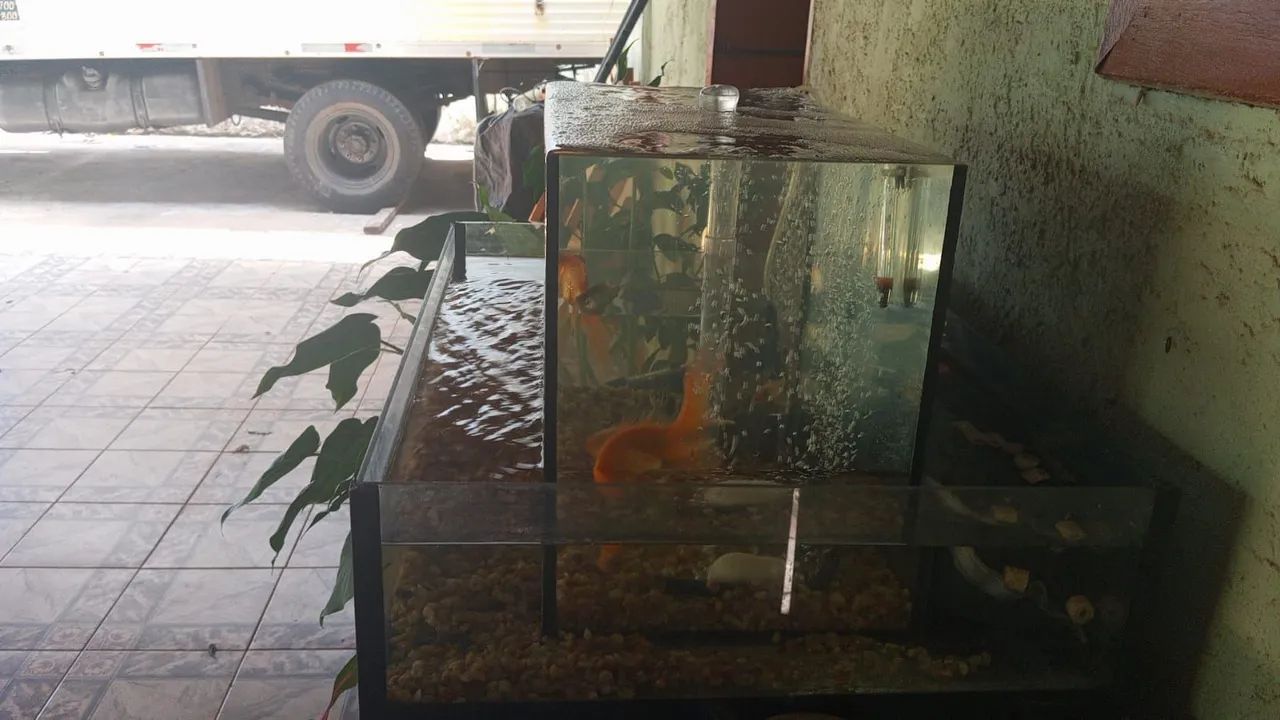 Aquário com borda infinita  - Foto 2