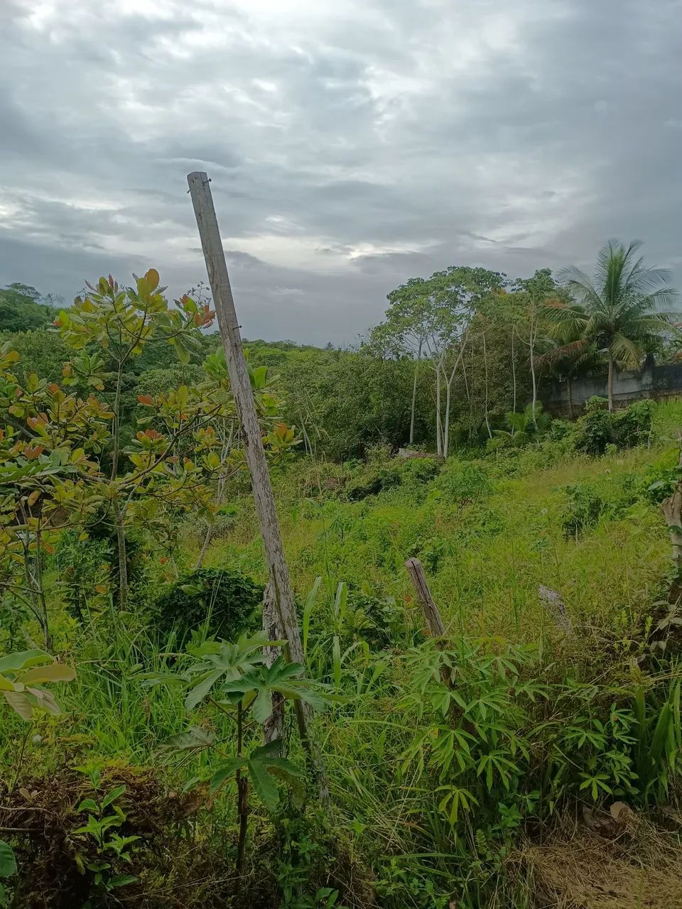 Vende se terreno (lote) de 17,00m x 92,00m - Foto 2