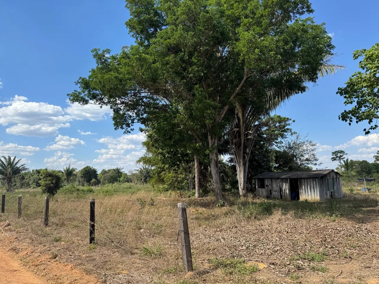 Sítio a venda! - Foto 3