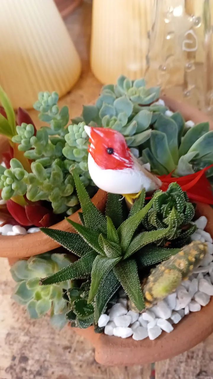 Jardinagem 