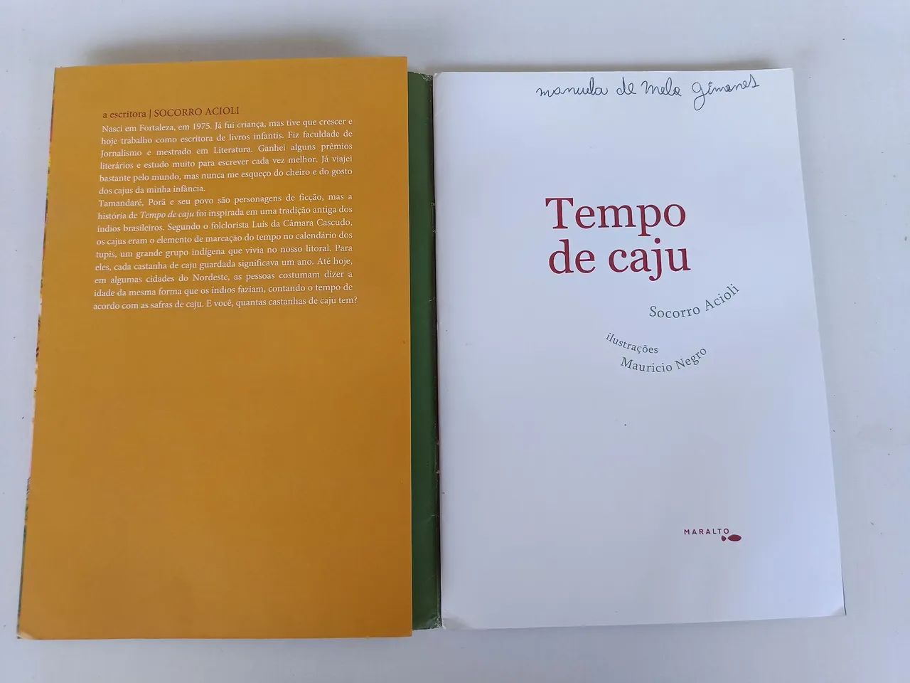 Livro Tempo de Caju - Foto 3