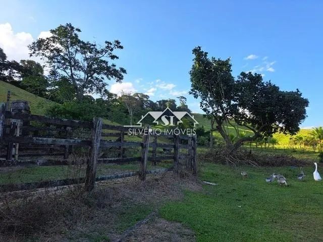 Fazenda- , Centro