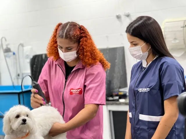 CURSO DE BANHO E TOSA