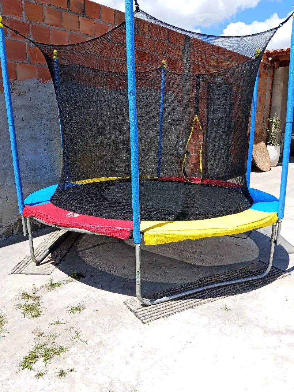 Aluga se pula pula 