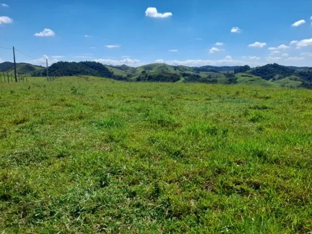 Chácara à Beira da Represa 10.000m² - Foto 2