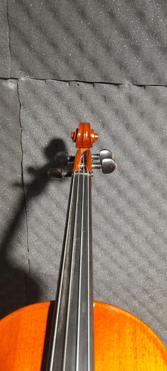 Viola Roma - Foto 5