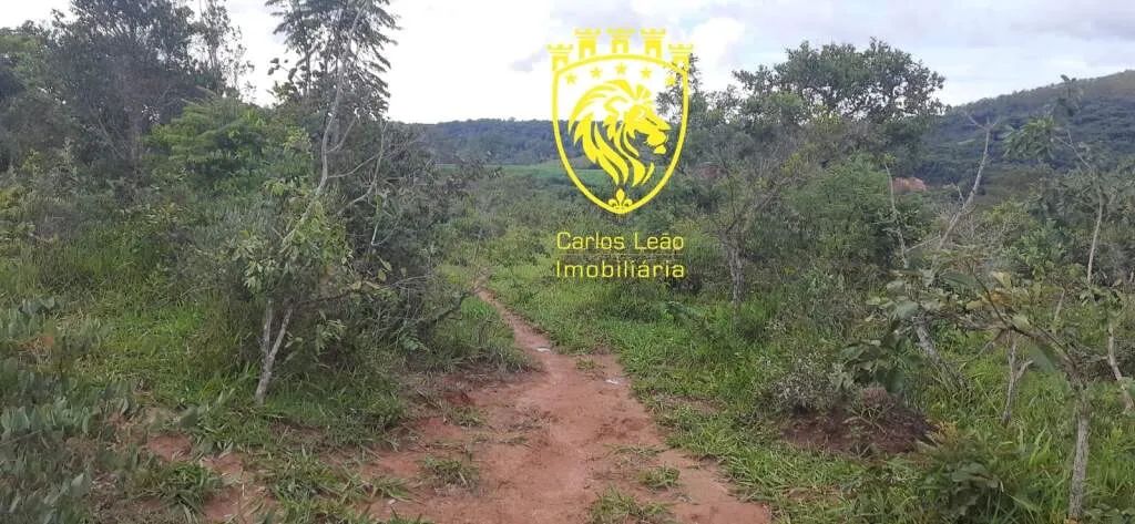 Fazenda / Sítios / Chácaras à venda em Formiga - Foto 3