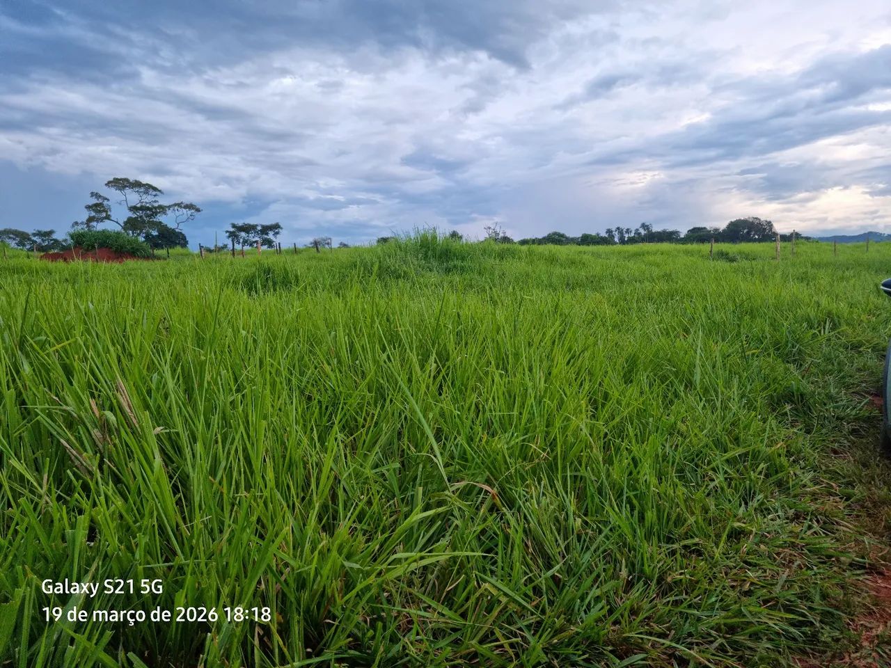 Foto - Nerópolis - Área Rural de Nerópolis