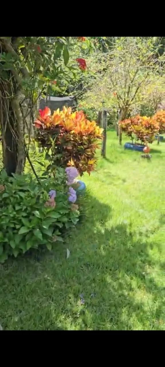 FAZENDINHA- Recanto de Sossego e Produtividade  - Foto 5