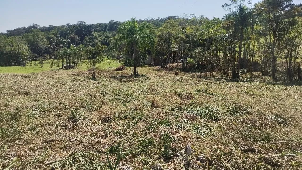 Terreno para Chácara em Morretes/PR - Foto 4