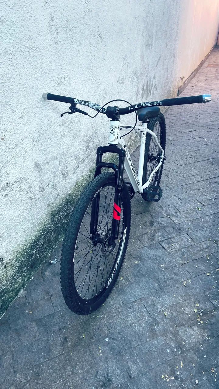 BIKE ALFAMEQ ARO 29