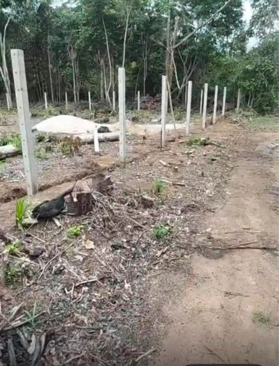 Vendo Lote de Terreno no Ramal da Cacheira do Castanho (390m²)