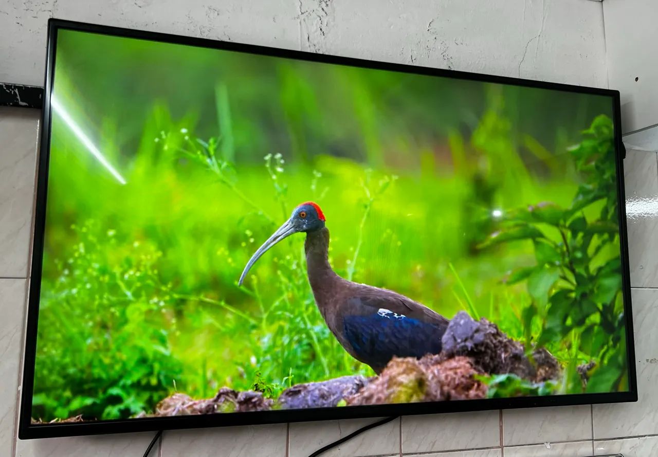 Monitor profissional LG Ips full hd 49 polegadas  - Foto 2