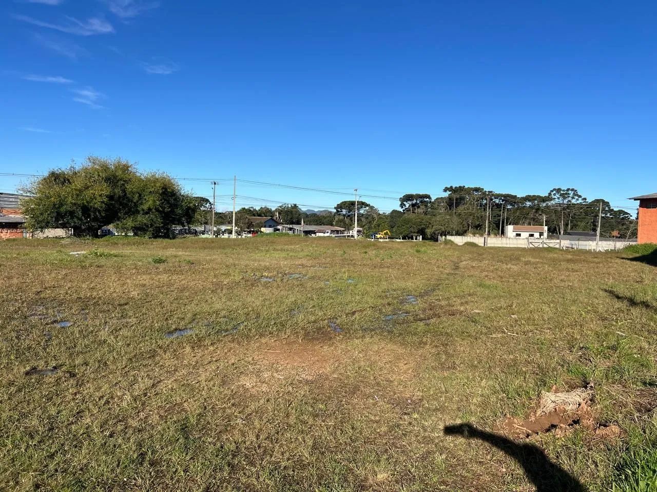 Vendo terreno em SJP - Foto 3