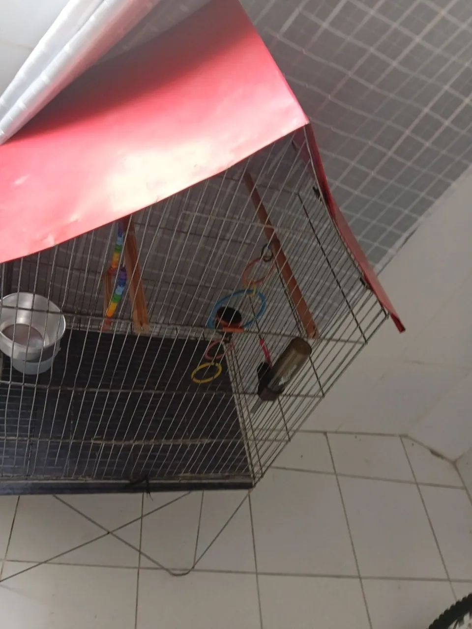 Giola grande - Foto 2
