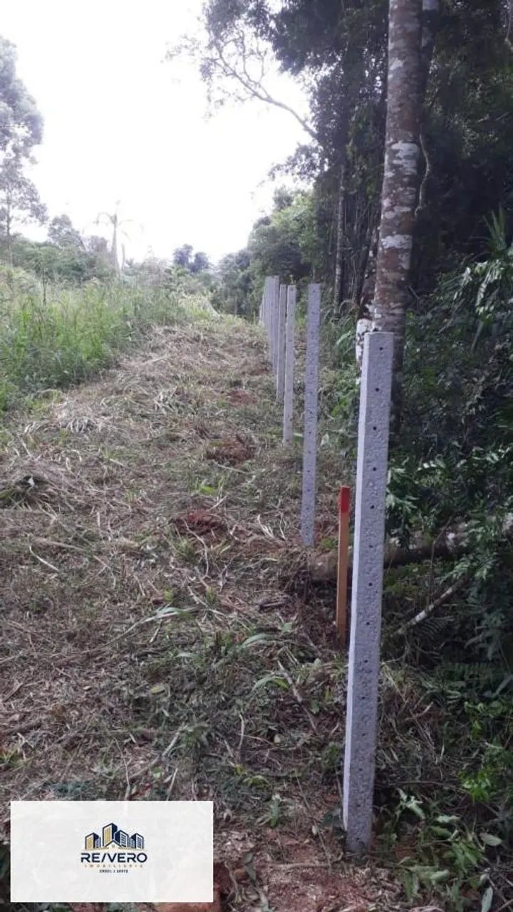 Área para Venda em Campo Magro - Foto 3