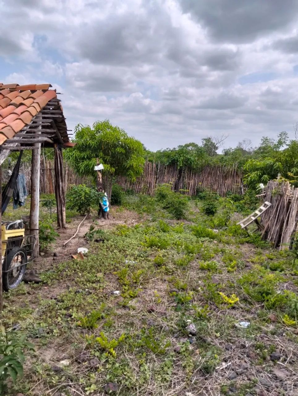 Terreno 2500m2 - Foto 3