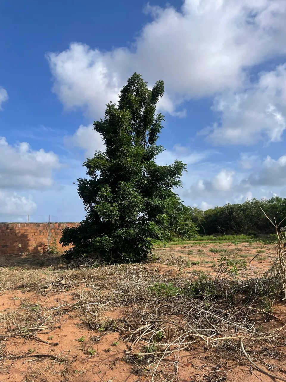 Vende-se  - Foto 5