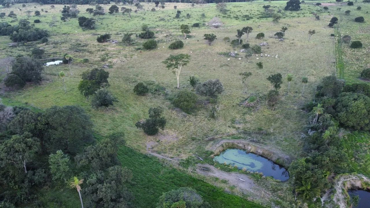 Área 60 hectares  - Foto 2