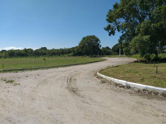 FUnavida - Foto 5