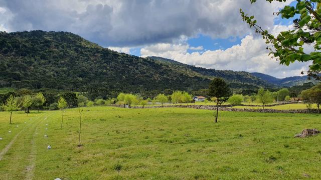 Sítio em Urubici/chácara em Urubici/área rural em Urubici - Foto 5