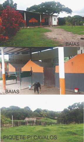 Sitio, Chácara - Foto 11