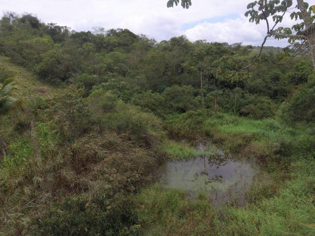 Sítio em Chã Grande-PE - Foto 12