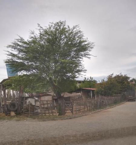 Terreno em Moreno 800mts na Avenida Pe-90 - Foto 4