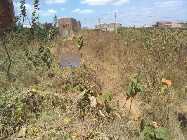Vende-se terreno em toritama - Foto 4