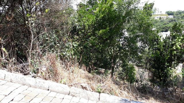 Terreno próximo ao centro - Foto 4