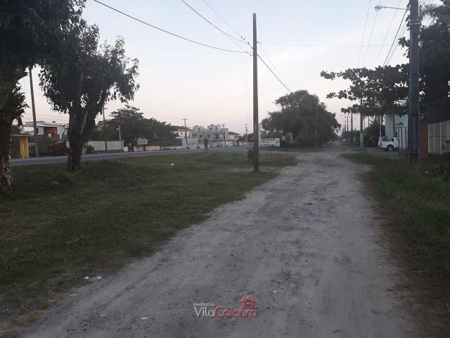 Terreno murado e aterrado de frete para a rodovia - Foto 6