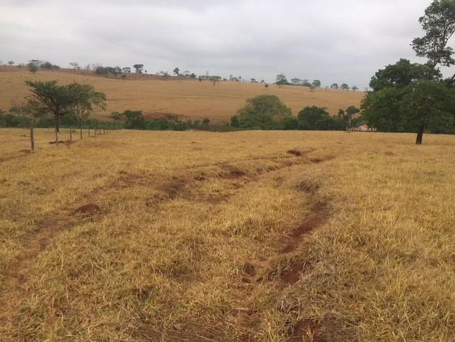 Fazenda 20 - Foto 18