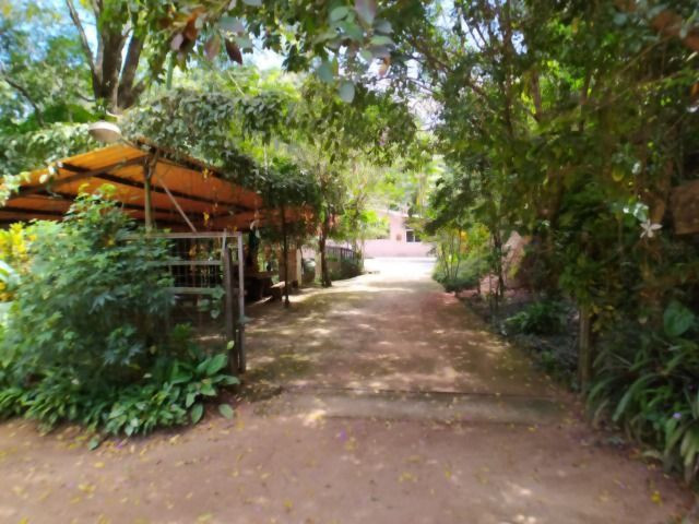 Vendo Lindo Sítio de 30.000 m em Buenos Aires - Foto 19