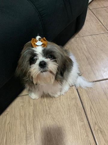 Nicky procura namorada