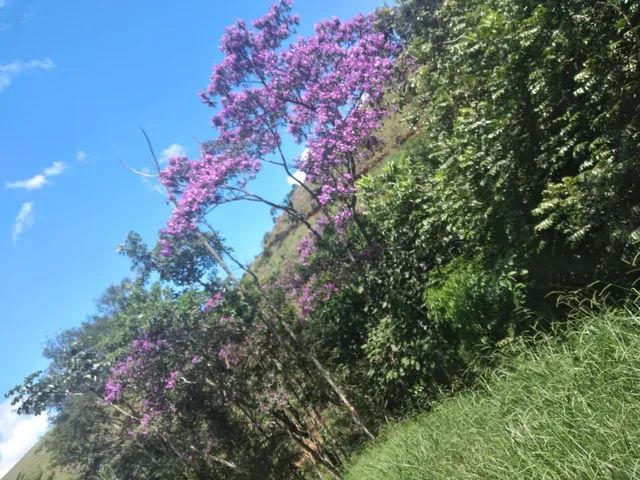 Monteiro lobato  - Foto 5