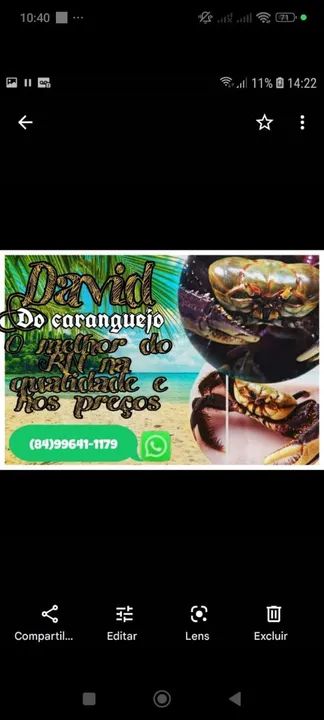 Caranguejo fresco e saboroso