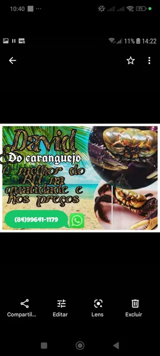 Caranguejo fresco e saboroso