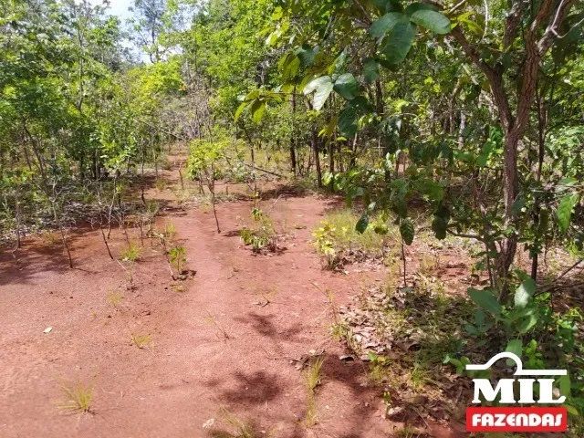 Fazenda p/ Soja em São Valério-TO. . 232 Alq. (1.122 Há)