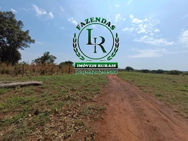 Fazenda 6 Alqueires Próximo a Palmas Tocantins - Foto 2