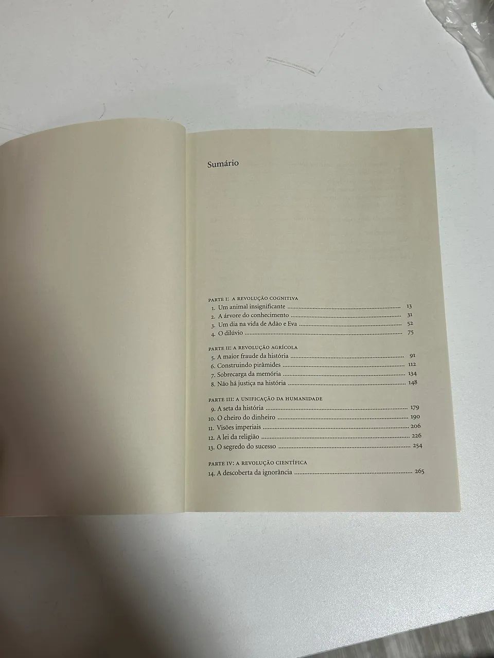 Sapiens - Excelente estado - Foto 2
