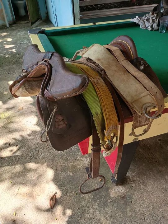 Celas australiana  - Foto 3