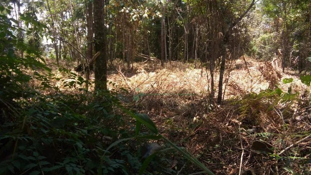 Terreno à venda, 647 m² por R$ 120.000,00 - Fazenda Suiça - Teresópolis/RJ - Foto 3