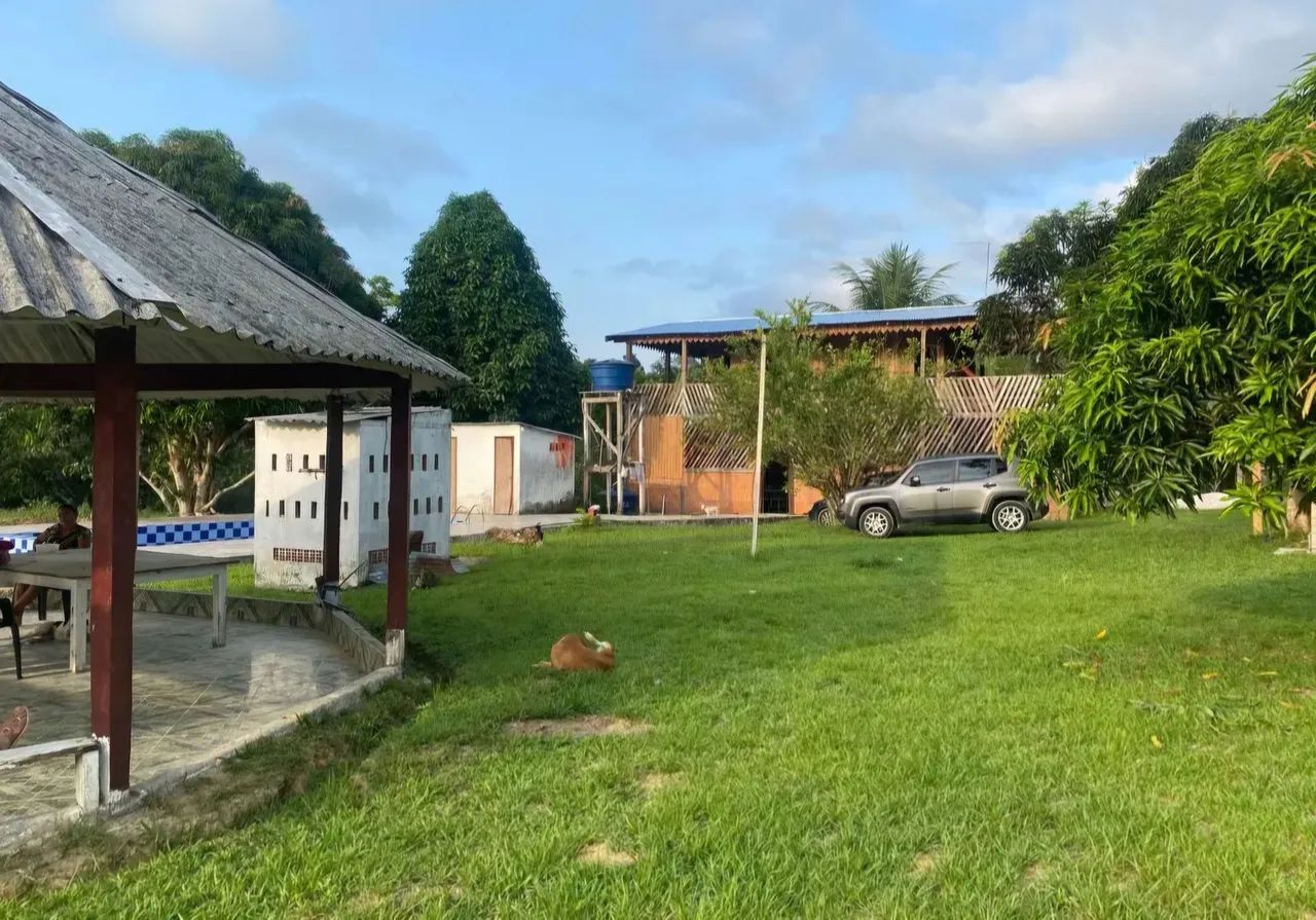 Sítio 25 Hectares com Casa e Piscina - Árvores Frutíferas - Foto 5